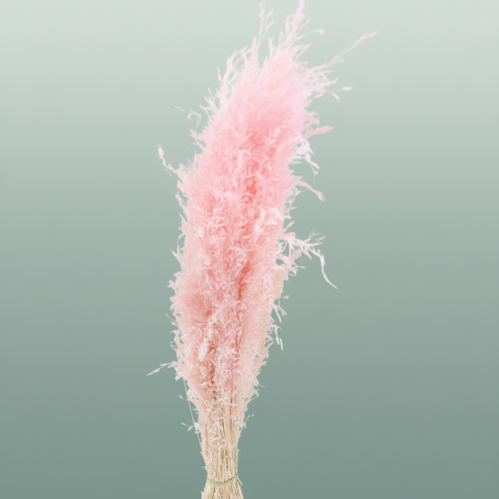 Dried Munni Grass L Pink