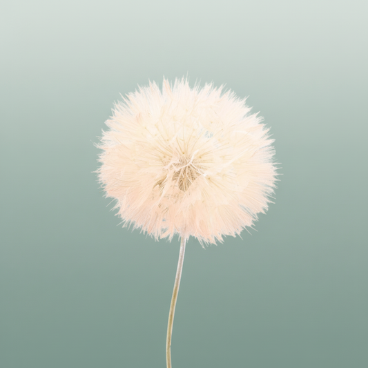 Pres Puste Flower Baby Satin Orange