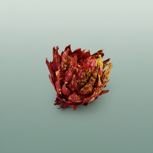 Dried Artz Cynara Heads Dali