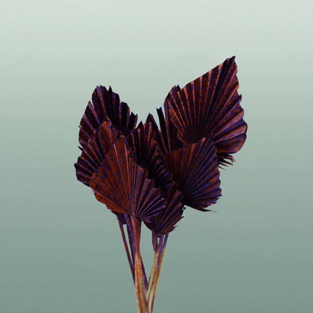 Dried Artz Palm Spear Vermeer