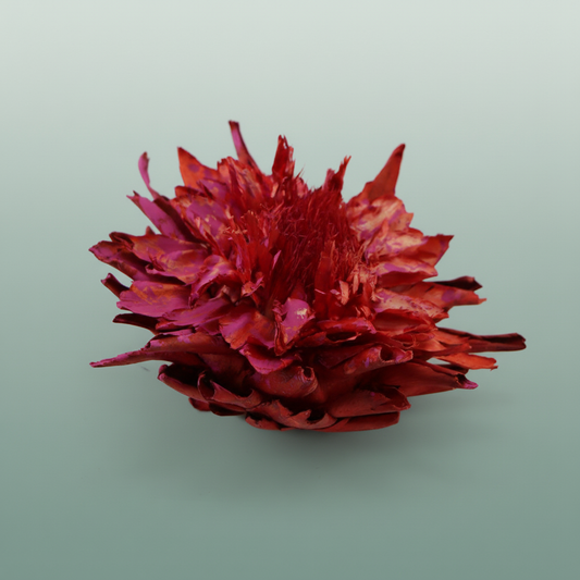 Dried Artz Cynara Heads Monet