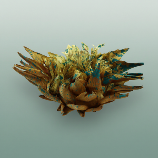 Dried Artz Cynara Heads Van Gogh