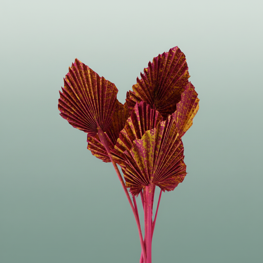 Dried Artz Palm Spear Dali