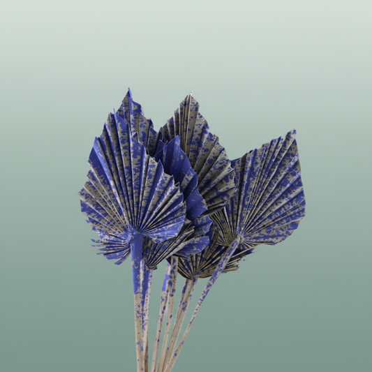 Dried Artz Palm Spear Matisse