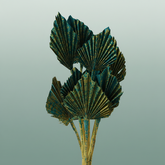 Dried Artz Palm Spear Van Gogh