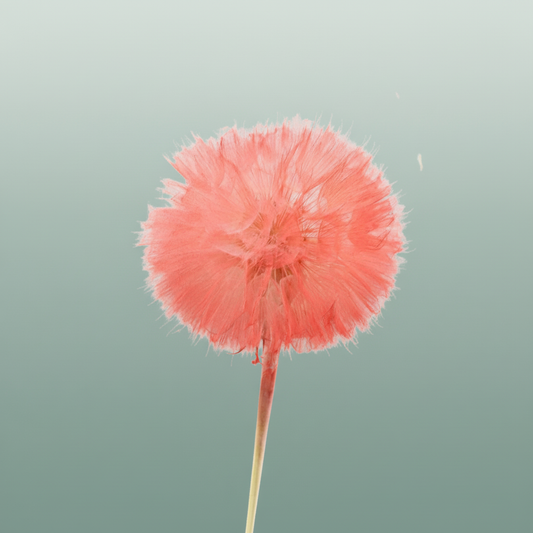 Pres Puste Flower Light Red