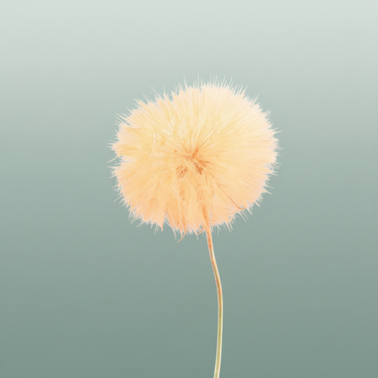 Pres Puste Flower Orange