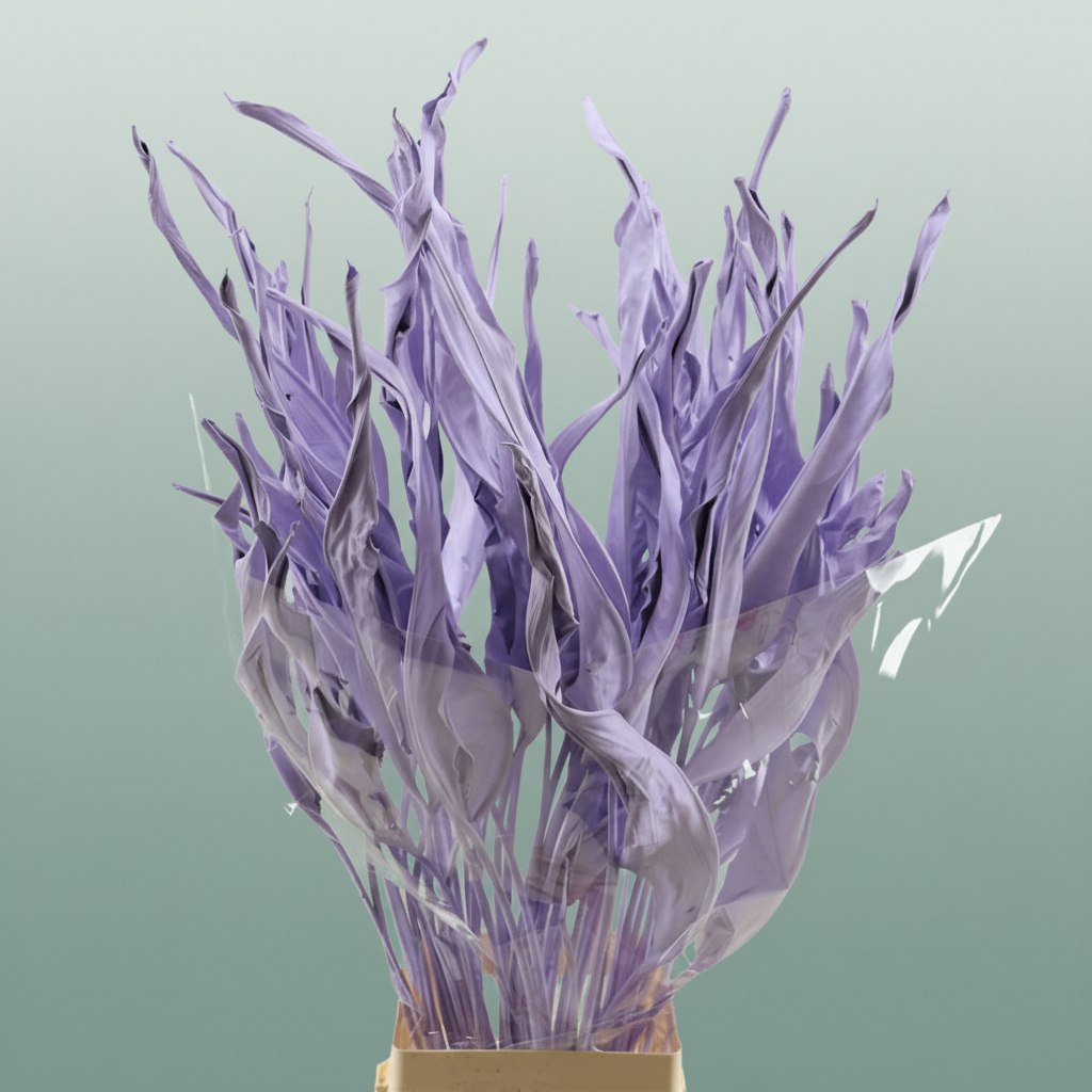 Dried Strelitziablad Lavendel