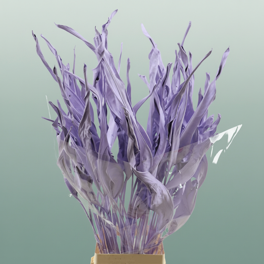 Dried Strelitziablad Lavendel