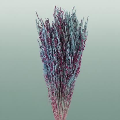 Dried Artz Rice Grass Rubens
