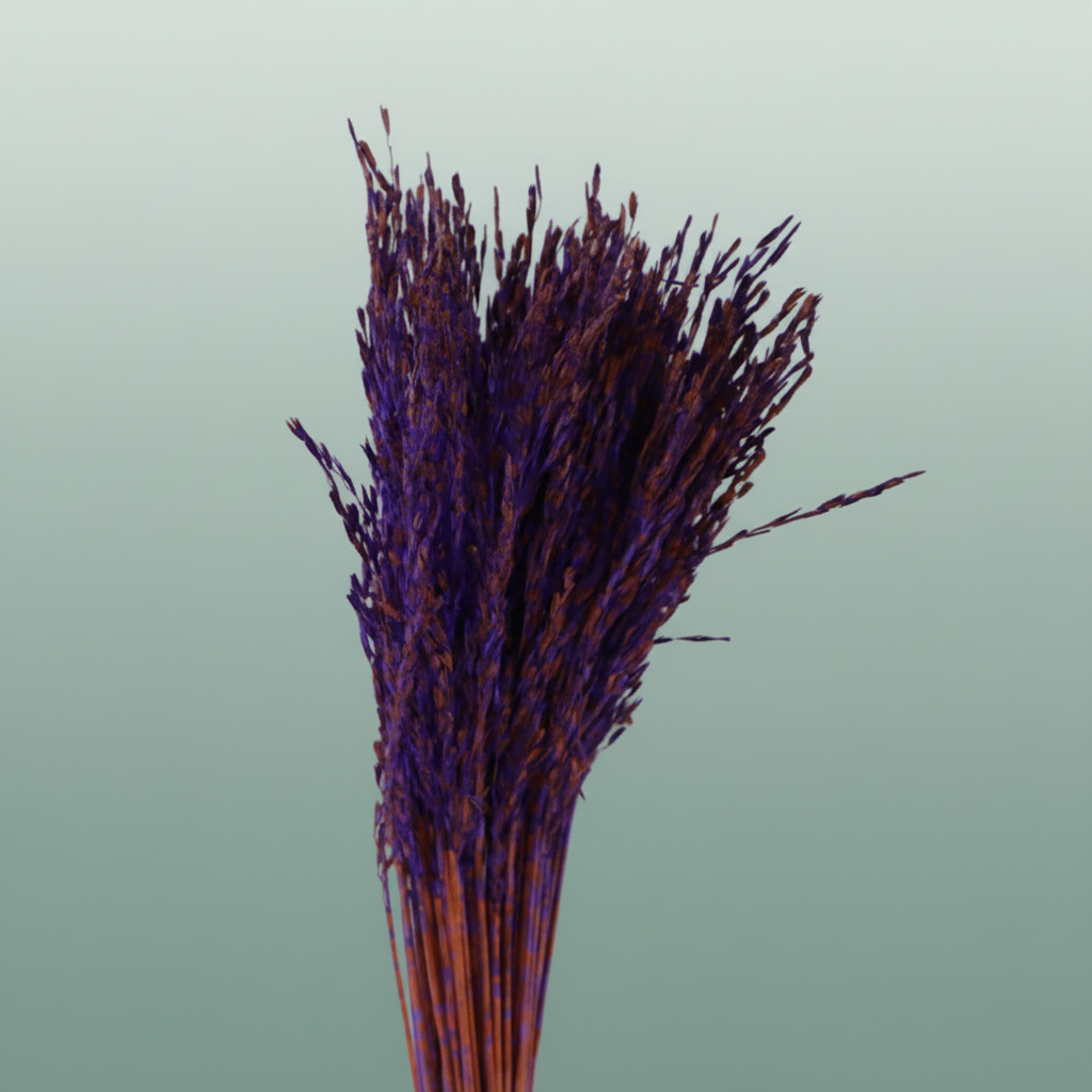 Dried Artz Rice Grass Vermeer