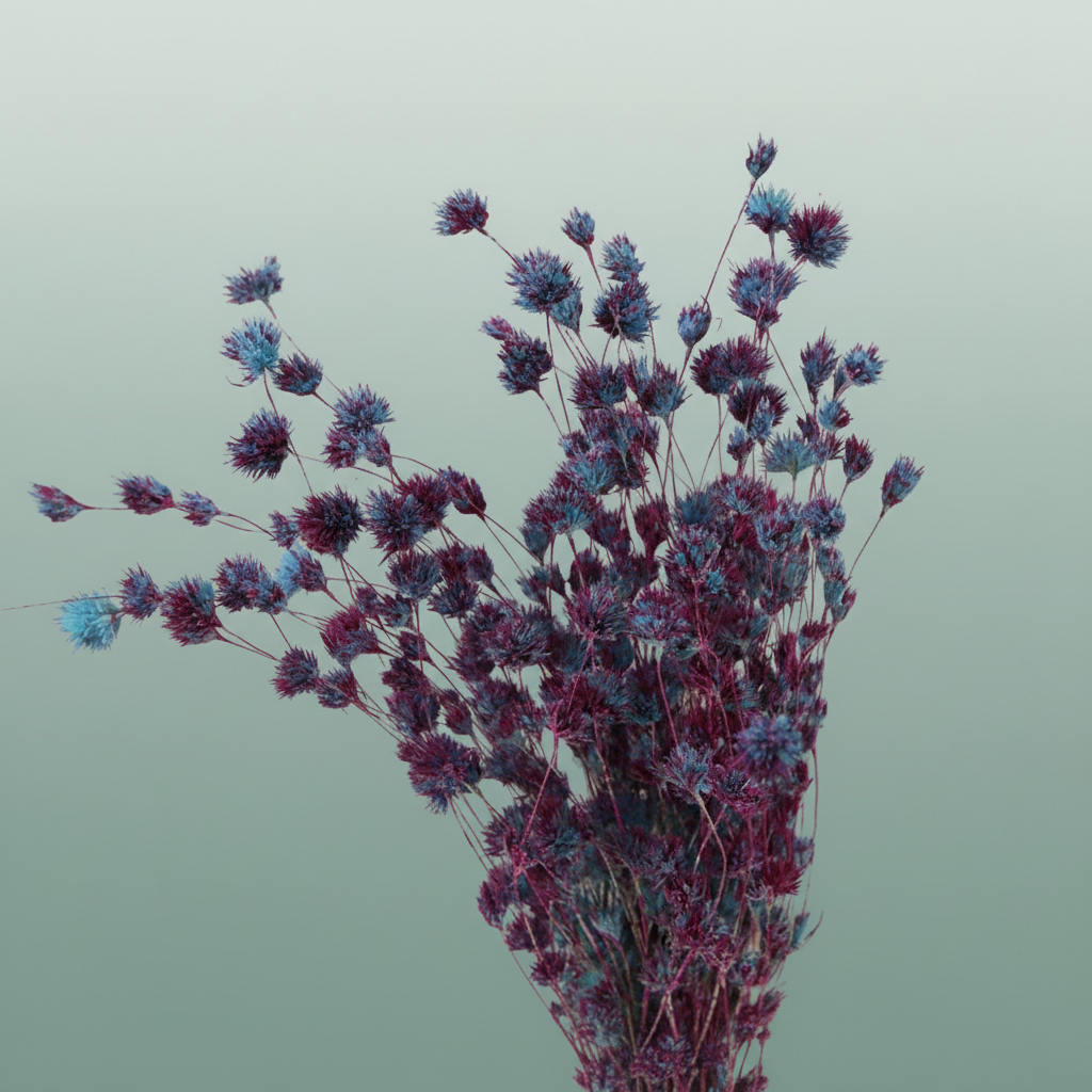 Dried Artz Wheep Bamboo Rubens