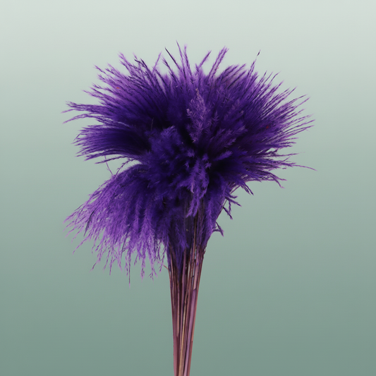Dried Stipa Feather Purple
