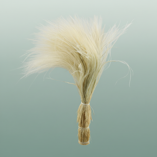 Dried Stypha Penata Natural