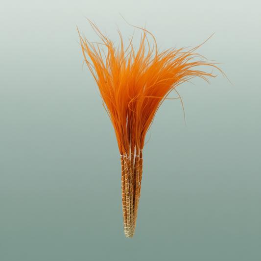 Dried Stypha Penata Orange