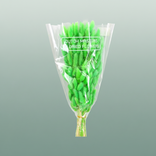 Dried Lagurus Bl Light Green