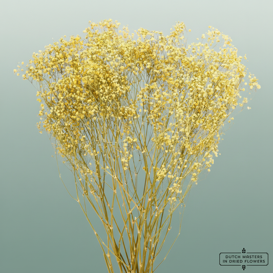 Dried Gyps Yellow Extra