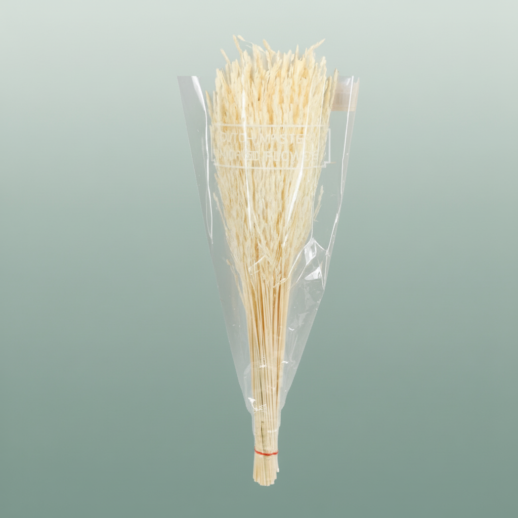 Dried Rice Grass Bleached