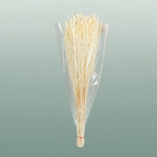 Dried Rice Grass Bleached