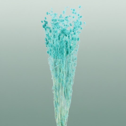 Pres Eryngium Mini Baby Blue