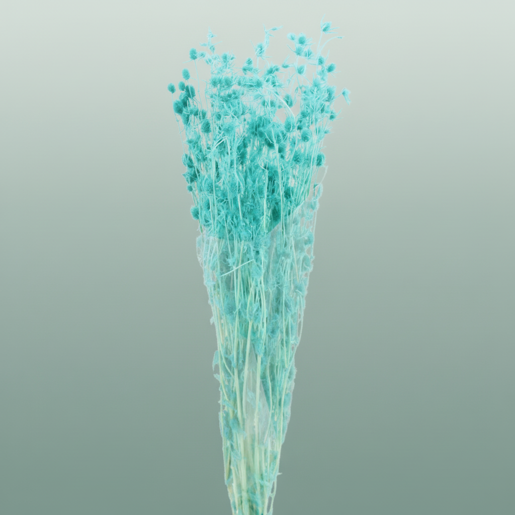 Pres Eryngium Mini Baby Blue