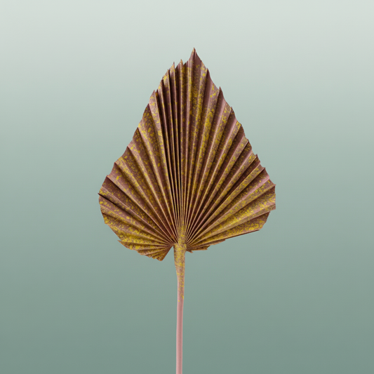 Dried Artz Palm Spear Xl Gaugain