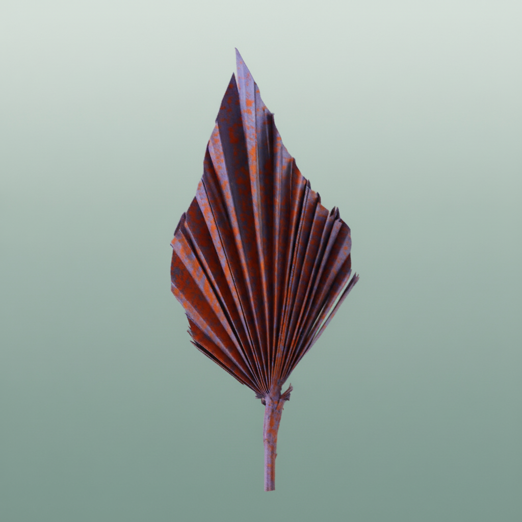 Dried Artz Palm Spear Xl Mondriaan