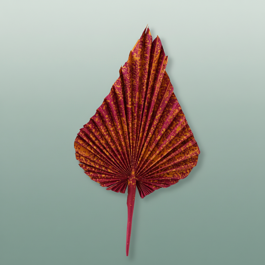 Dried Artz Palm Spear Xl Dali