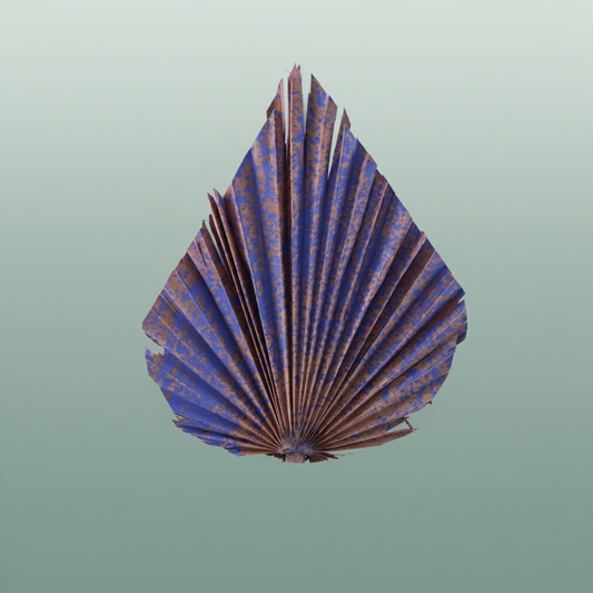 Dried Artz Palm Spear Xl Da Vinci