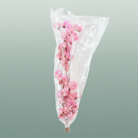Dried Bougainvillea Pink Bunch