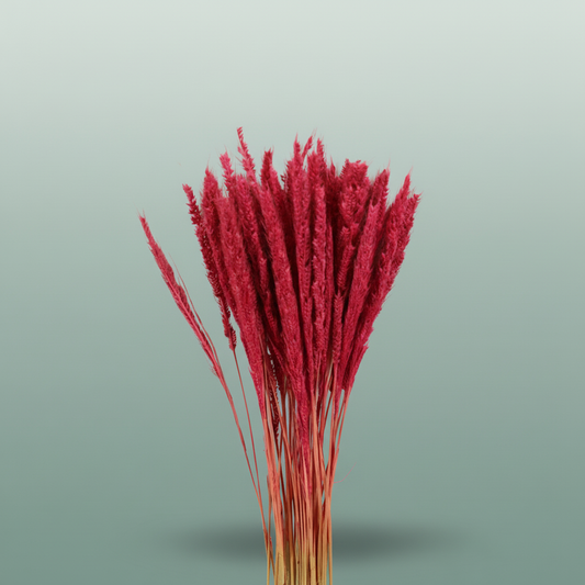 Dried Pinion Grass Pink