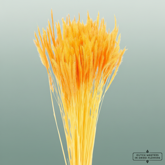 Dried Silk Worms Extra Orange