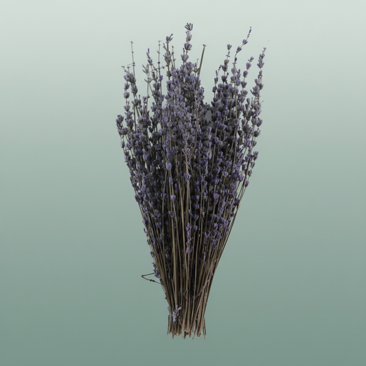 Pres Lavendel Light Blue