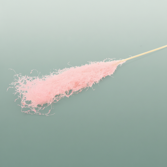 Dried Silvergrass Xl Lightpink