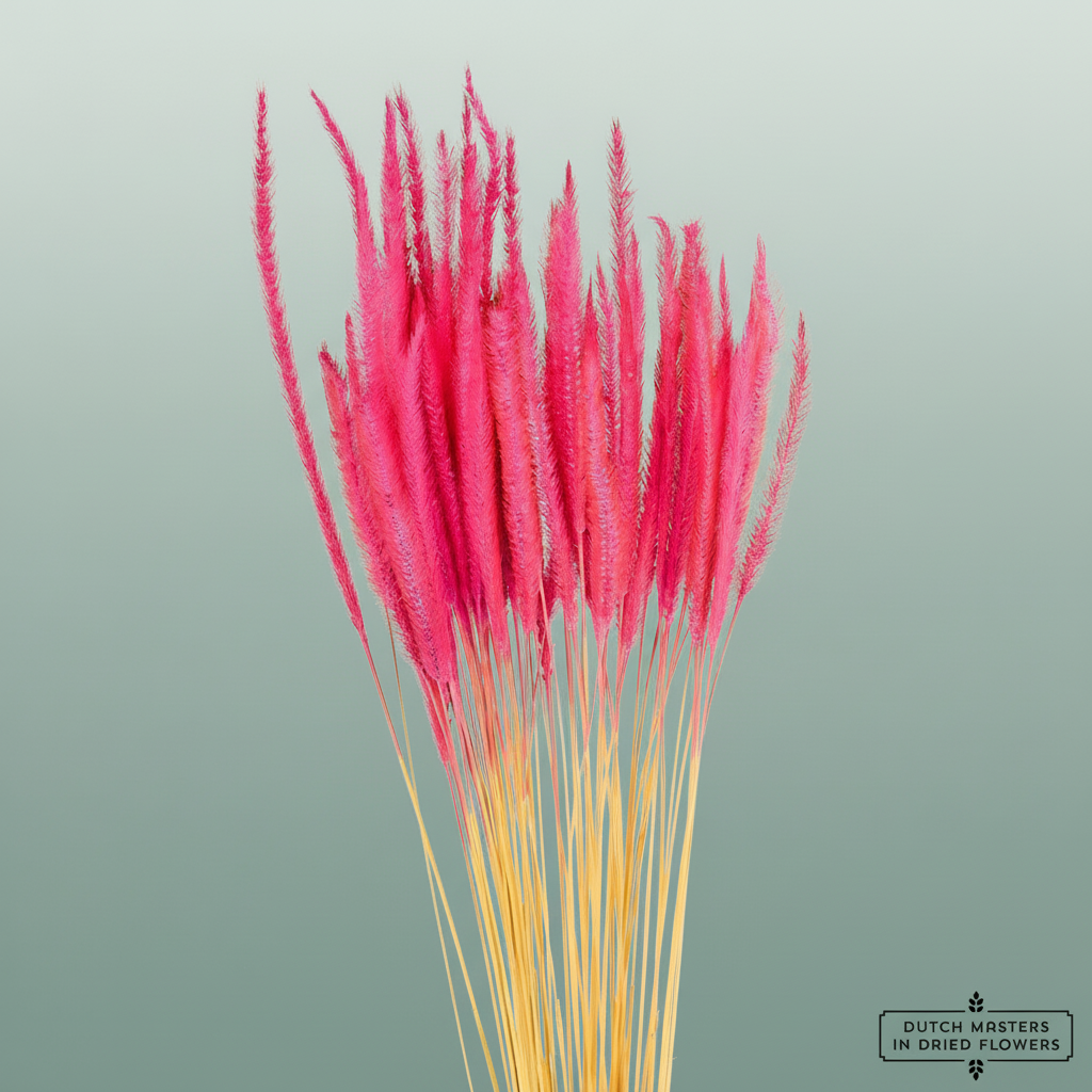 Dried Silk Worms Extra Pink