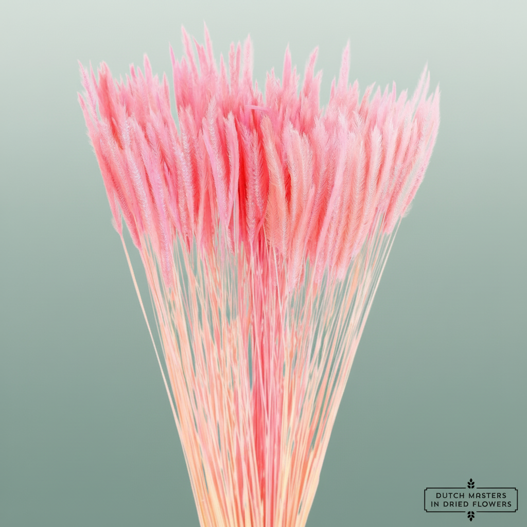 Dried Silk Worms Extra L. Pink