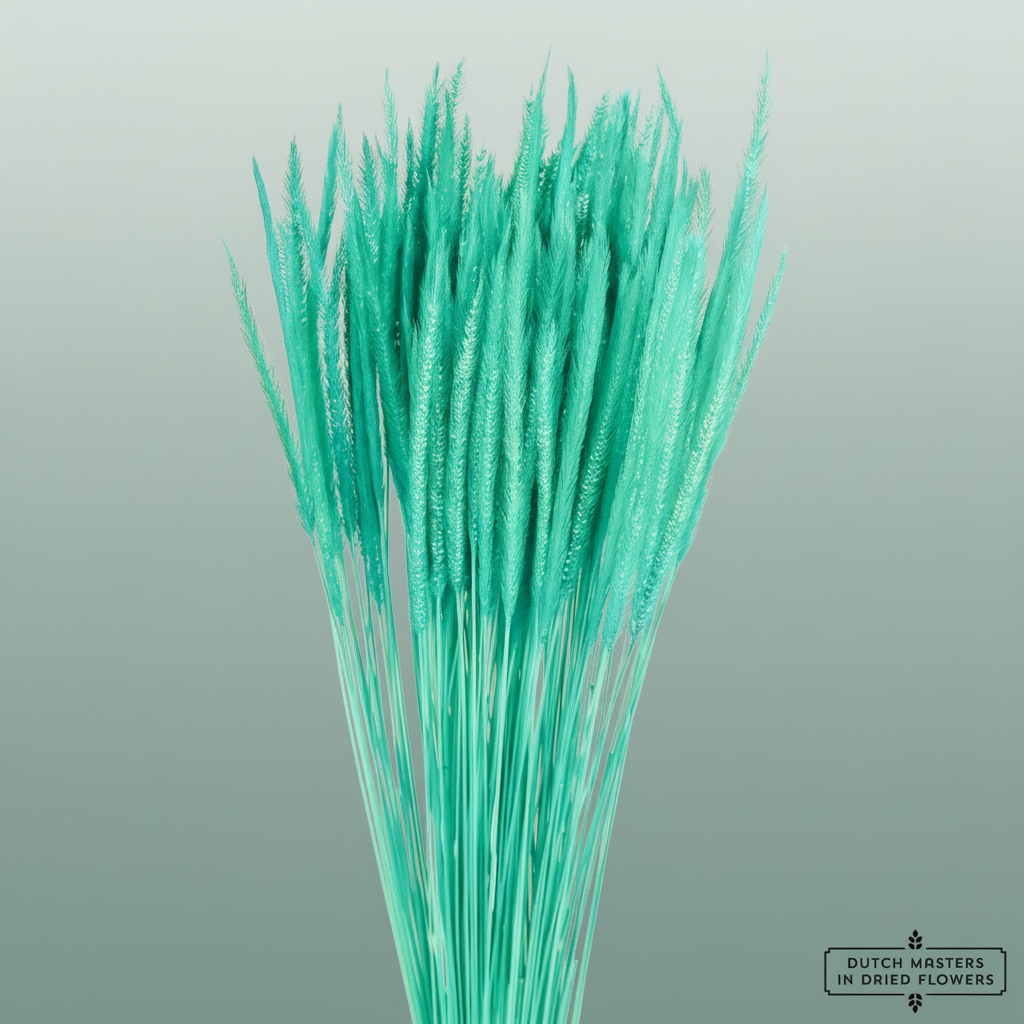 Dried Silk Worms Extra Turquoise