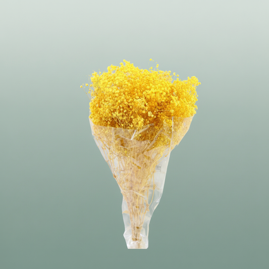 Pres Gypsophila Bouquet Salmon