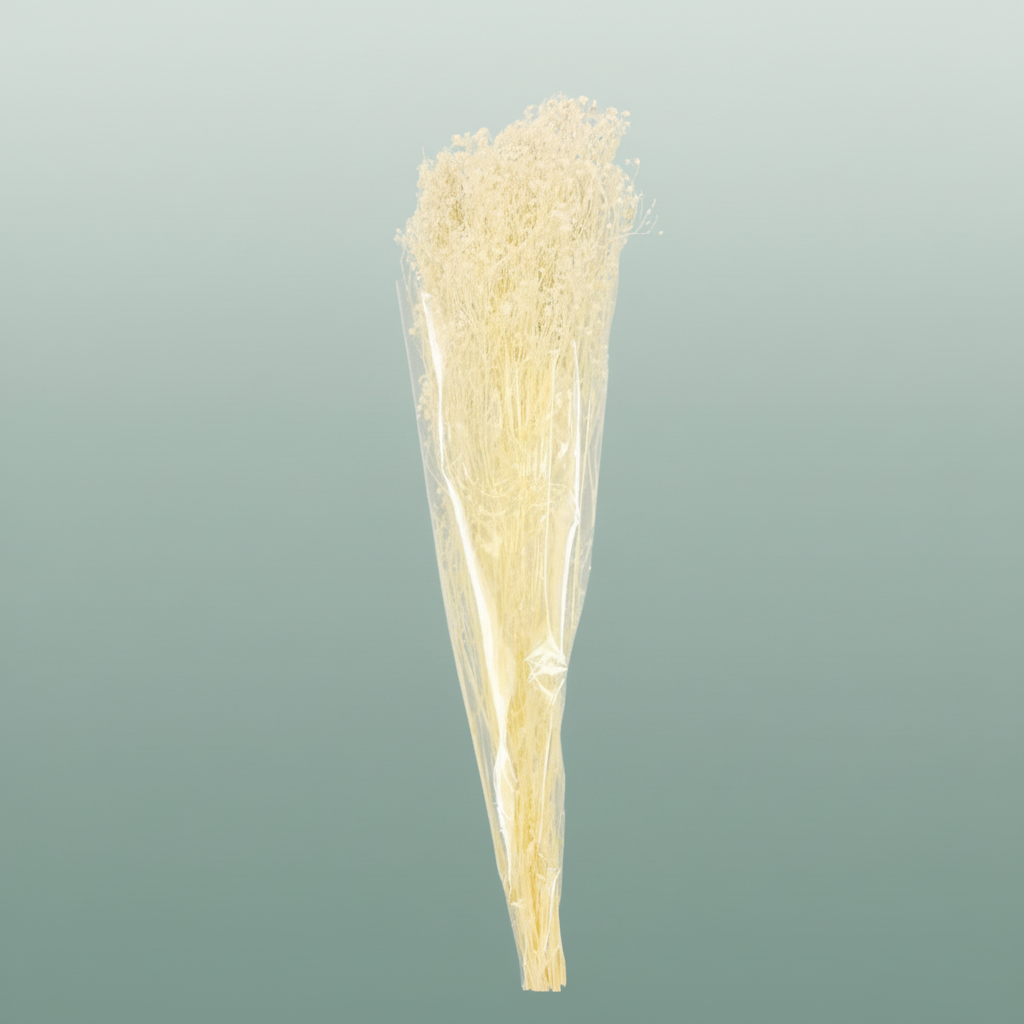 Pres Gypsophila Bleached