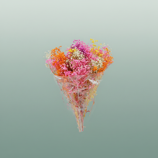 Pres Gypsophila Bouquet Mix Rainbow
