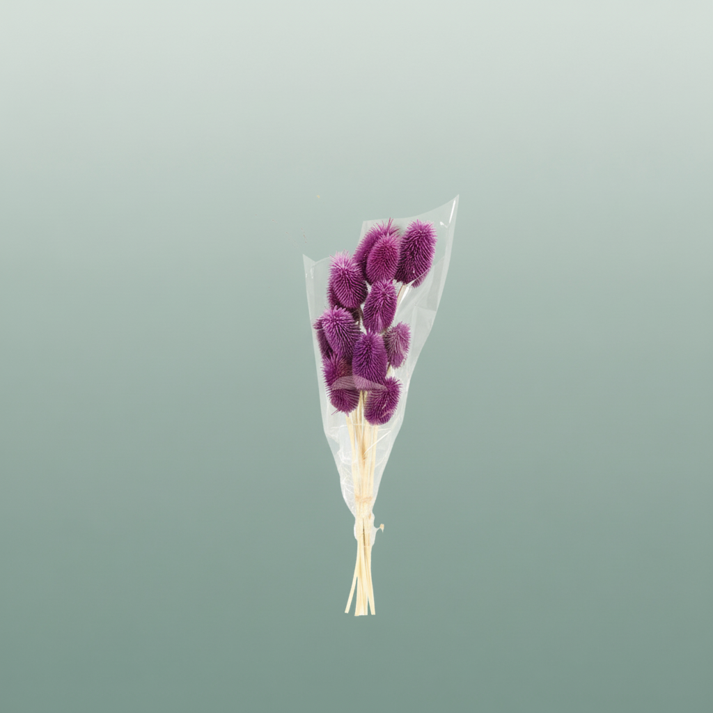 Pres Cardo Mini D Blue