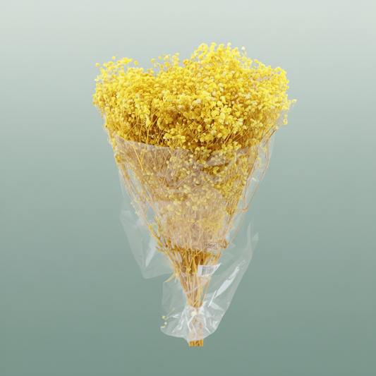 Pres Gypsophila Bouquet Yellow