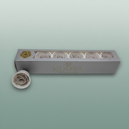 Rose Preserved Grey