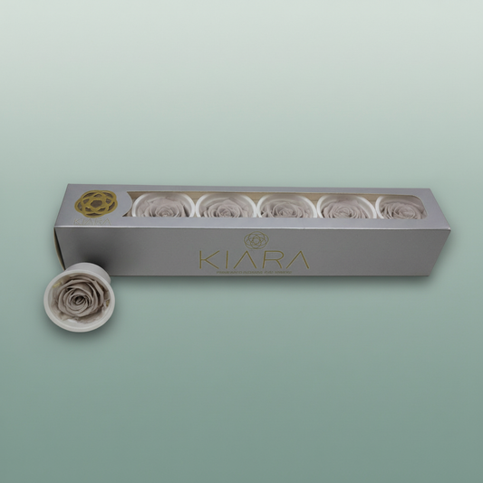 Rose Preserved Grey