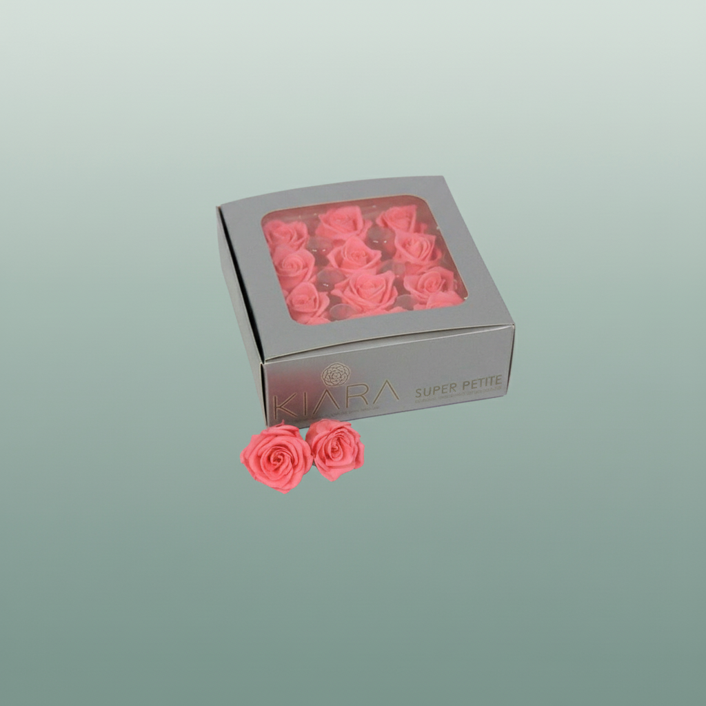 Rose Preserved Baby Pink Mini Petite