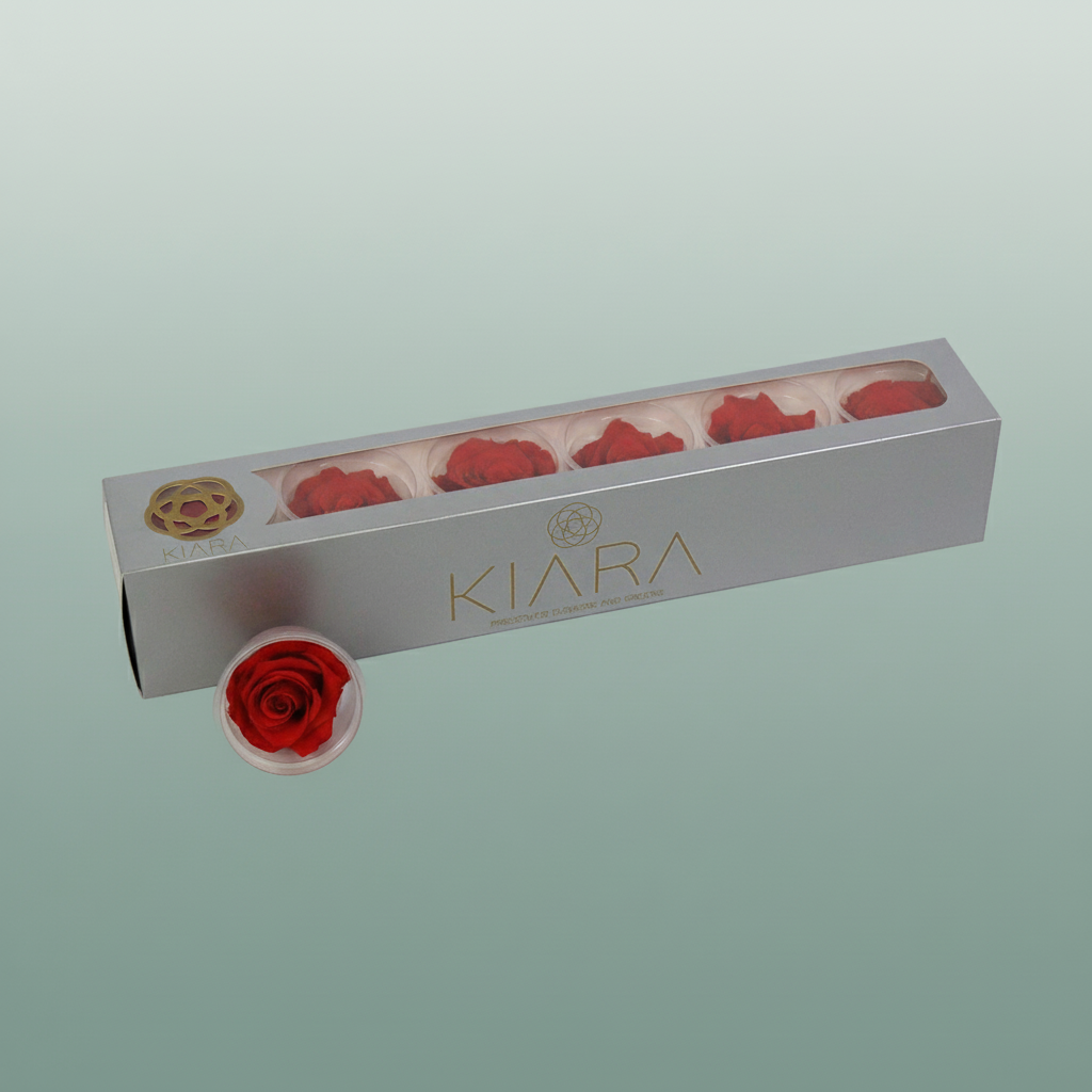 Rose Preserved Vibrant Red