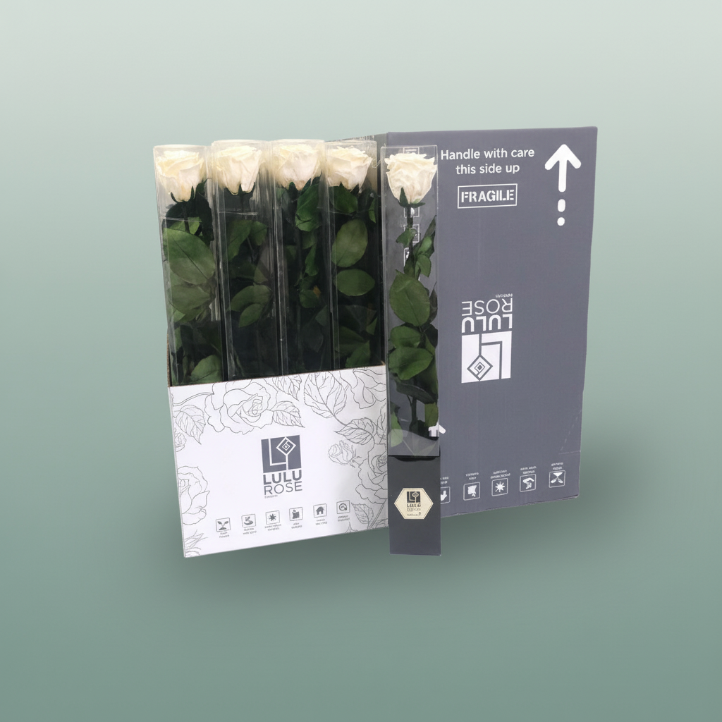 Rose Preserved Stem Fancy Cream