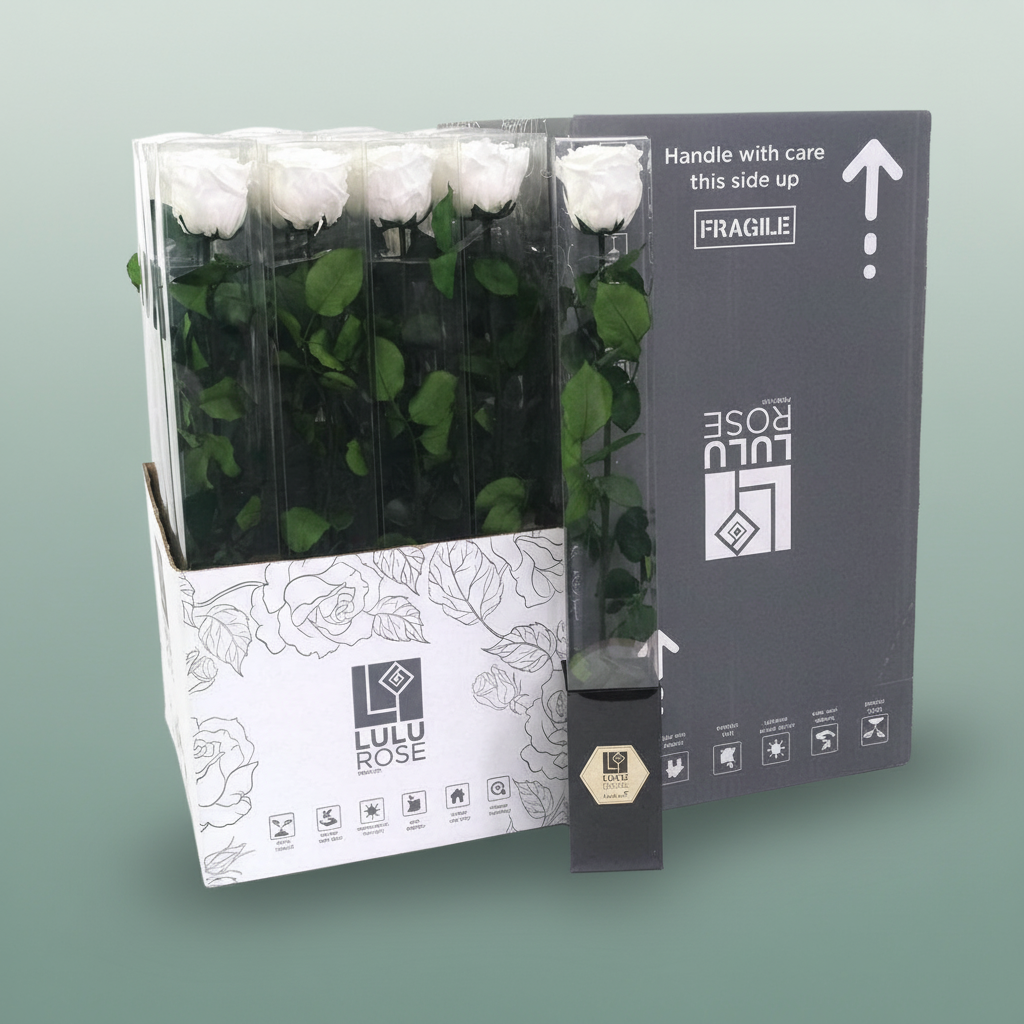 Rose Preserved Angelical White