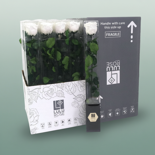 Rose Preserved Angelical White