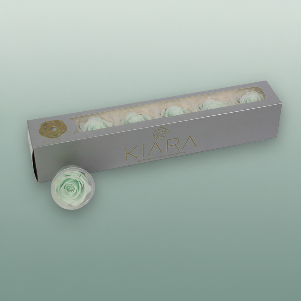 Rose Preserved Minty Green